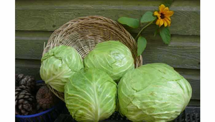 Cabbage & Potatoes for Glowing Skin