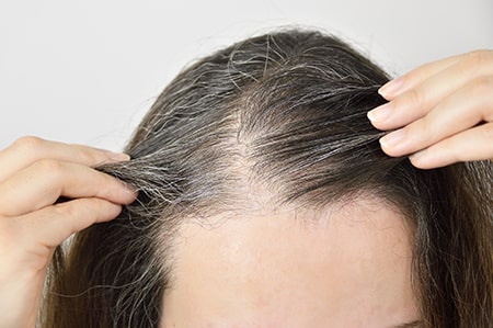 Brahmi Benefits for Split Ends and Grey Hair