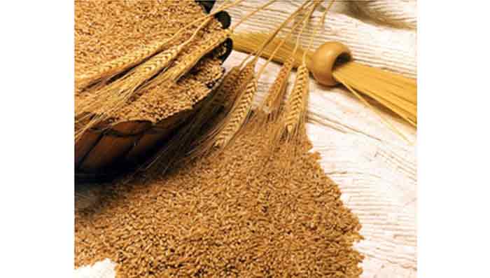 Wheat Germs to Prevent Dandruff